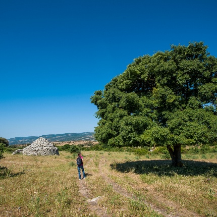 Nelle campagne è possibile visitare alcuni antichi ovili in pietra (foto Ivo Piras)