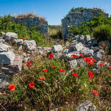 Ruderi della chiesa di San Giacomo (foto Ivo Piras)