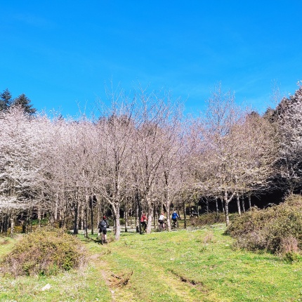 Bonobike (foto Bonobike - Eliseo Pala)