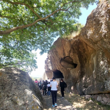 Necropoli Sant'Andrea Priu (foto Facebook, Necropoli Sant'Andrea Priu)