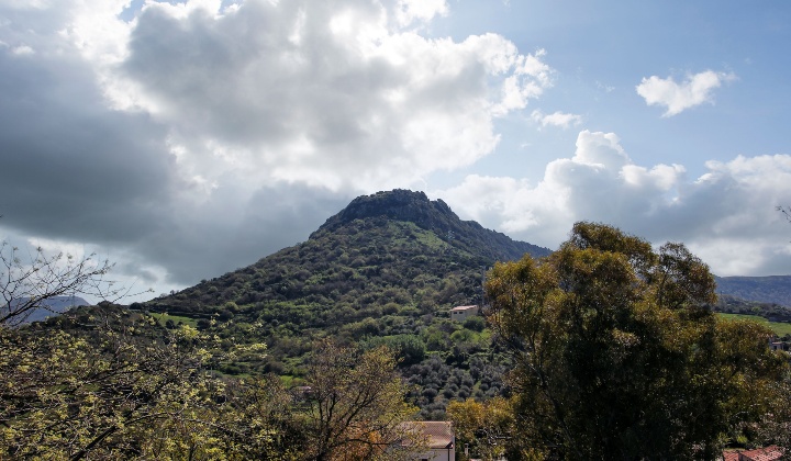 Siligo, veduta del Monte Sant'Antonio