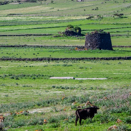 Nelle vicinanze sorge nuraghe Culzu (foto Giuseppe Lonis)