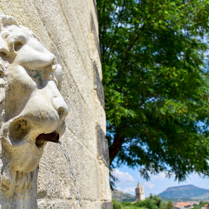 Fontana pubblica con particolare della protome leonina (foto Ivo Piras)