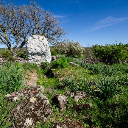Vista dal retro della tomba con il corridoio funerario parzialmente interrato (foto Giuseppe Lonis)
