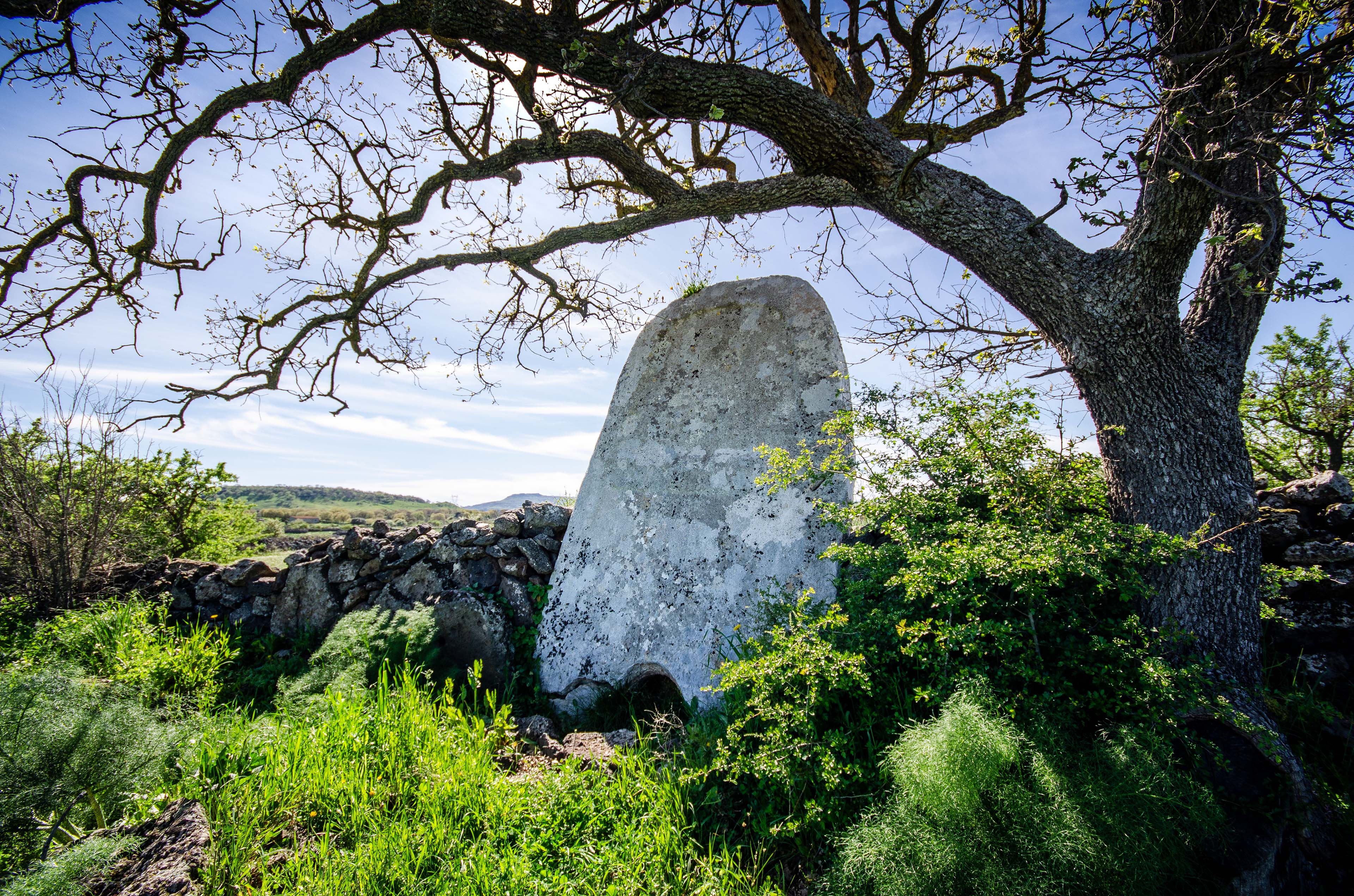 Vista frontale della stele inglobata in un muretto a secco