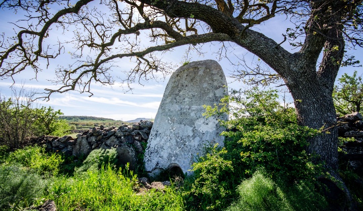 Vista frontale della stele inglobata in un muretto a secco