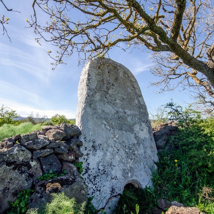 La stele centinata in calcare (foto Giuseppe Lonis)