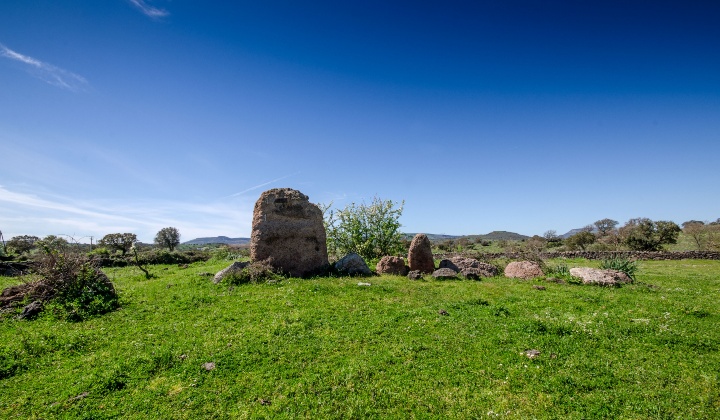 Veduta della stele e parte dell'esedra