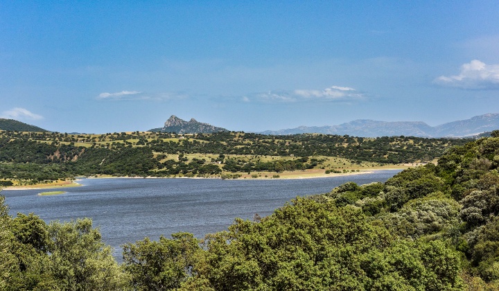 Vista panoramica del lago e dei monti del Limbara