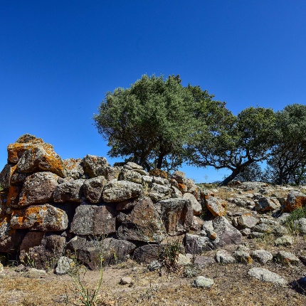 Area archeologica di Sa Mandra Manna (foto Ivo Piras)