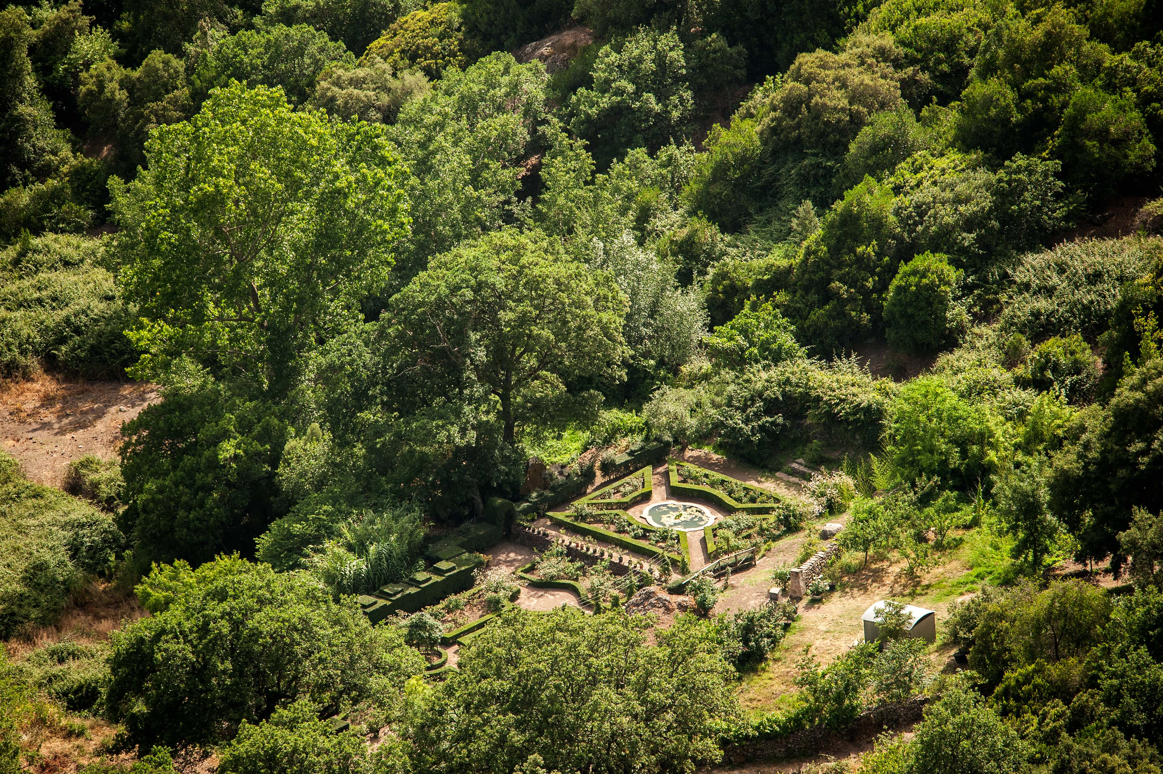 Il roseto all'interno della struttura (foto Ivo Piras)