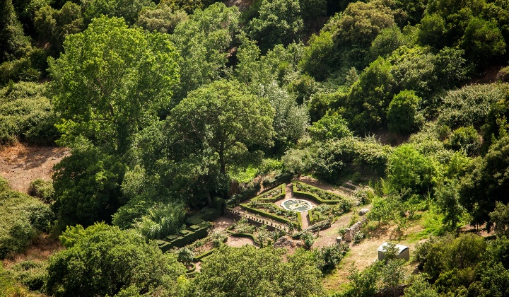 Il roseto all'interno della struttura