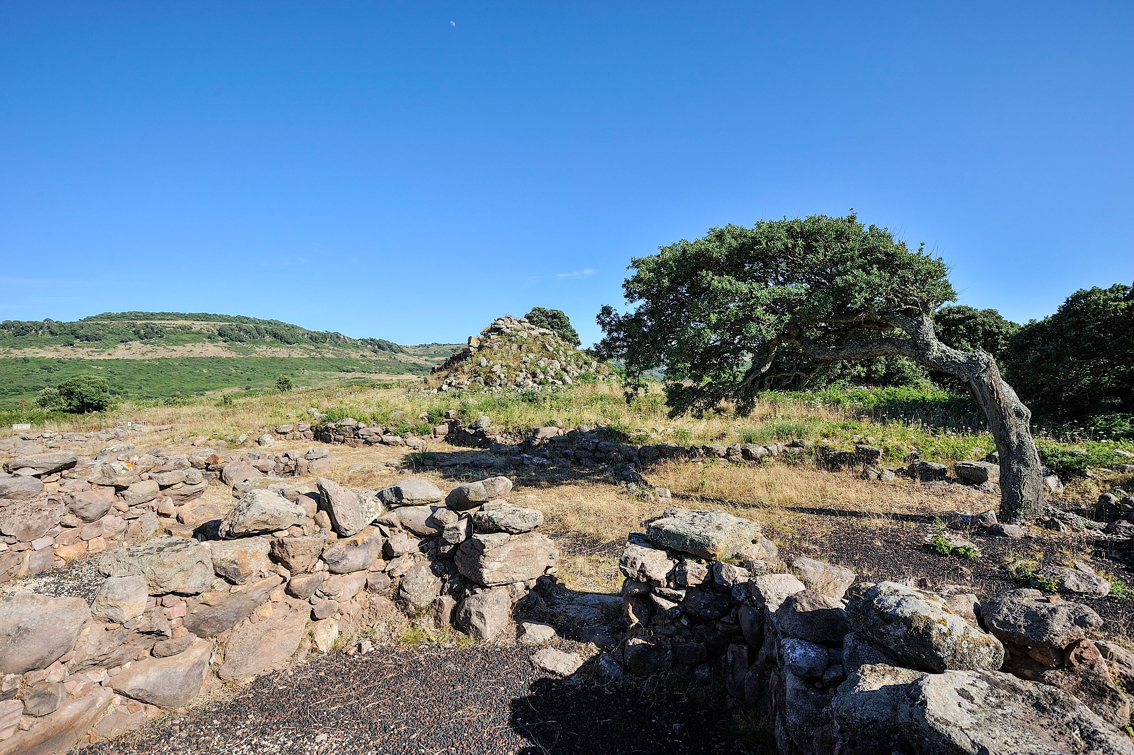 Veduta dell'area archeologica (foto Ivo Piras)